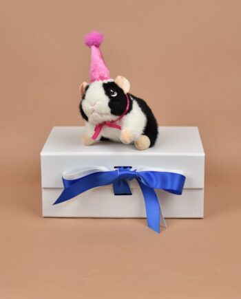 Party Pig Guinea Pig with Pink Hat