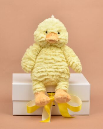 Fluffy Chick Cuddly Toy