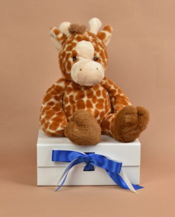 Love to Hug Giraffe - Send a Cuddly
