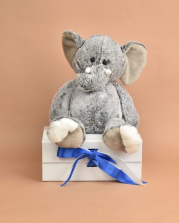 Love to hug elephant - send a cuddly