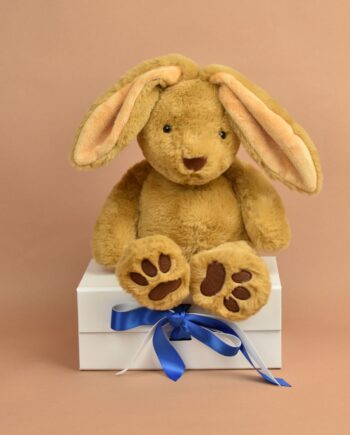 Love to Hug Bunny Rabbit Send a Cuddly