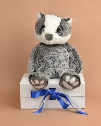 Love to Hug Badger -send a cuddly