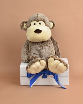 Love to hug Monkey - Send a Cuddly