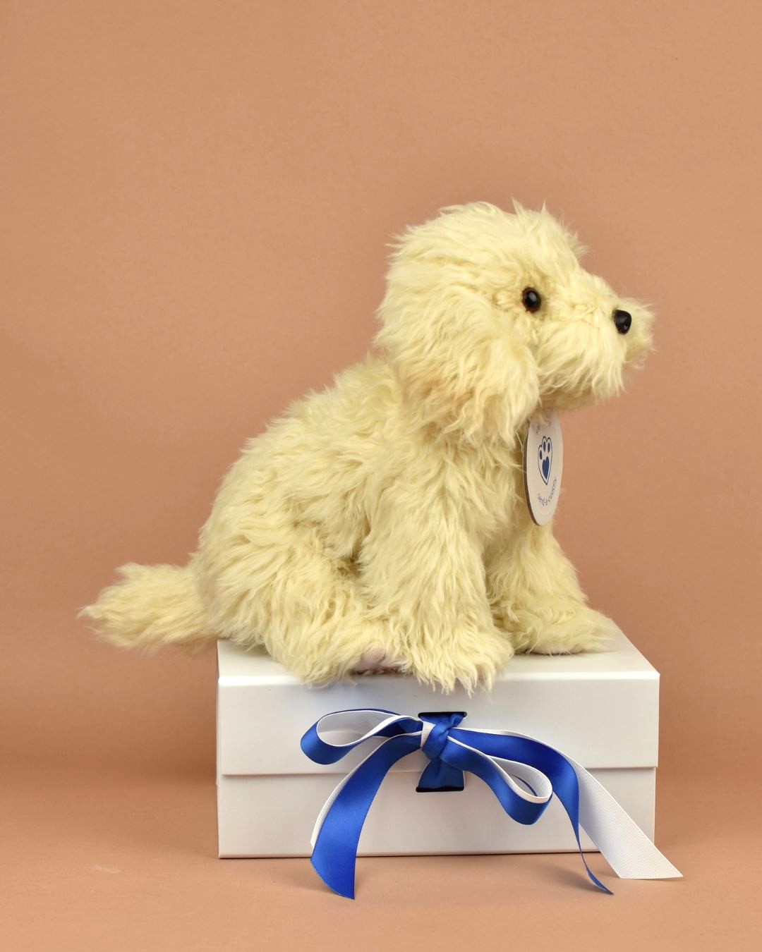 Cockapoo