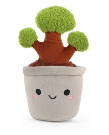Botanical Garden Cuddly Little Bonsai Plant 14cm