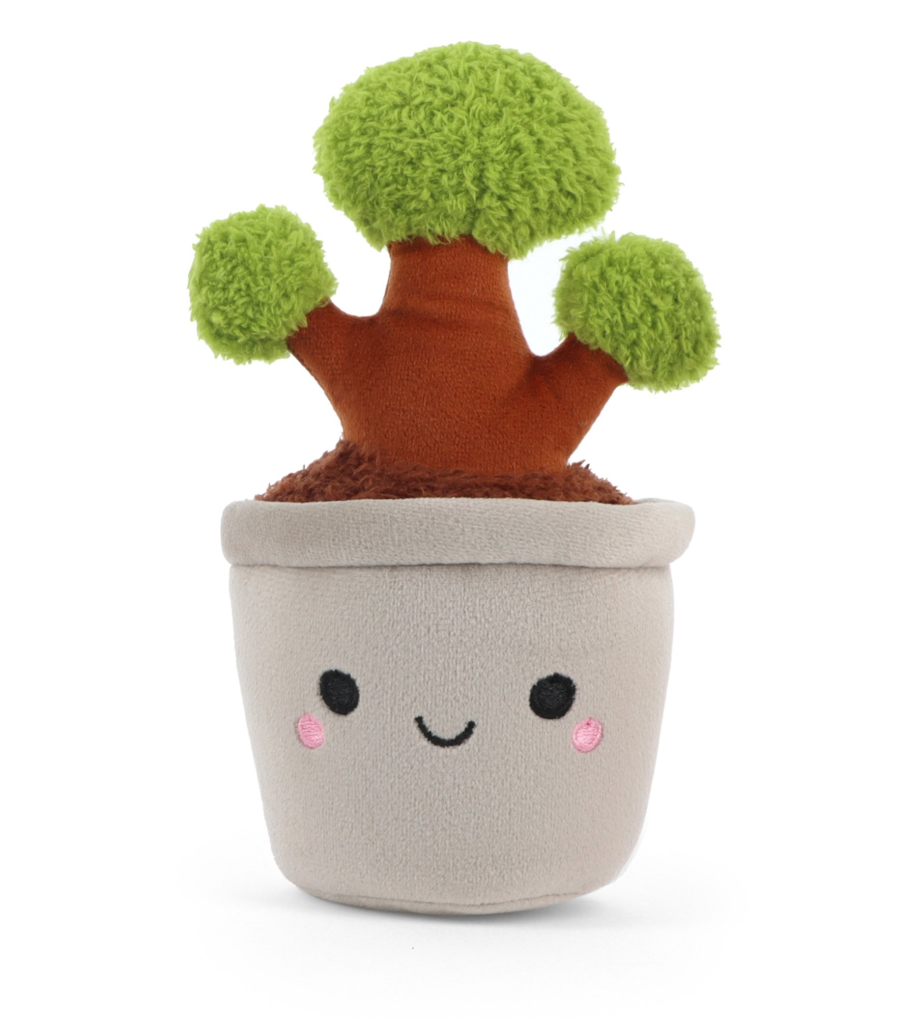 Botanical Garden Cuddly Little Bonsai Plant 14cm