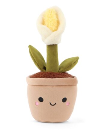 Botanical Garden Cuddly Little Calla Lily Plant 14cm