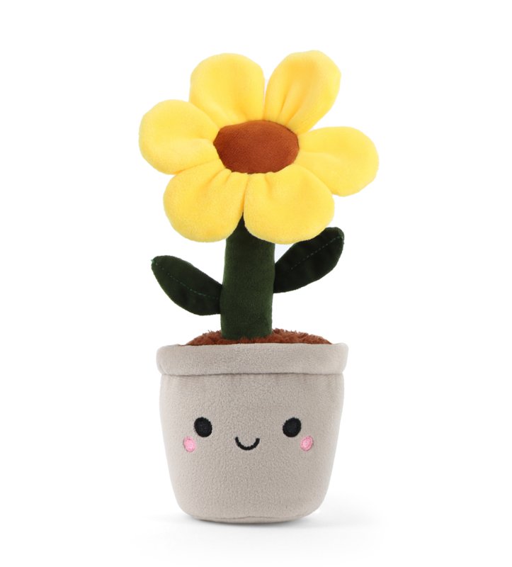 Cuddly Sunflower plant - Send a Cuddly