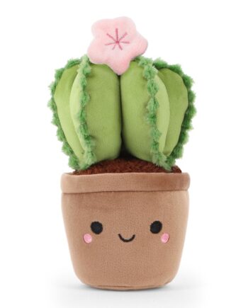 Botanical Garden Cuddly Little Pink Flowering Cactus 14cm