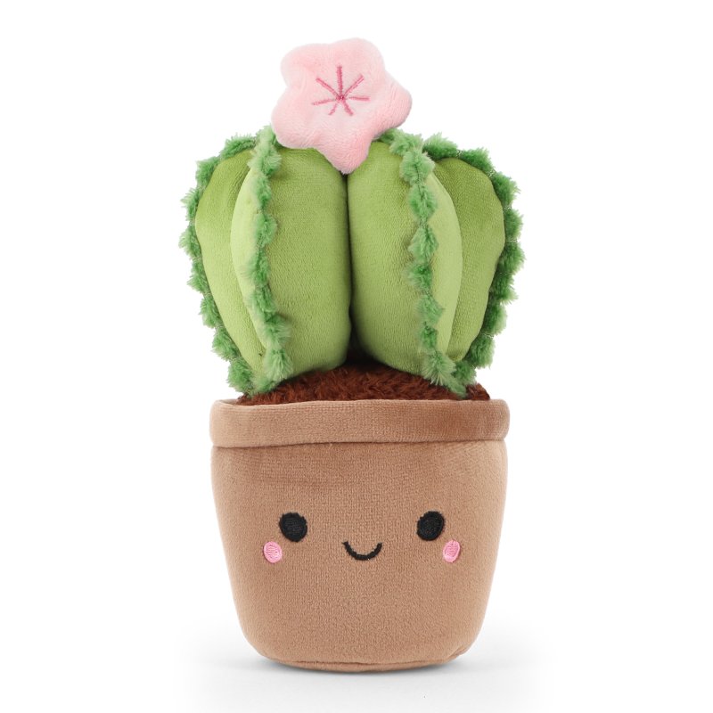 Botanical Garden Cuddly Little Pink Flowering Cactus 14cm