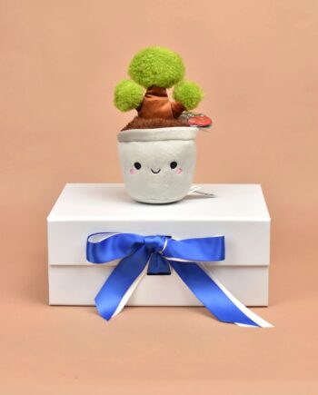 Cuddly Bonsai Tree Plant New Home Gift