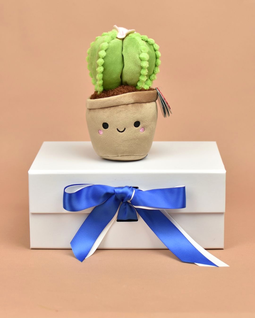 Cuddly Cactus Plant soft toy