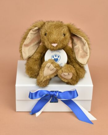 Enchanted World Brown Bunny