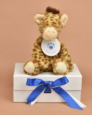 Enchanted World Giraffe Cuddly Toy