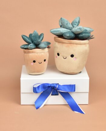 Botanical Garden Succulent Jade Cuddly Toy