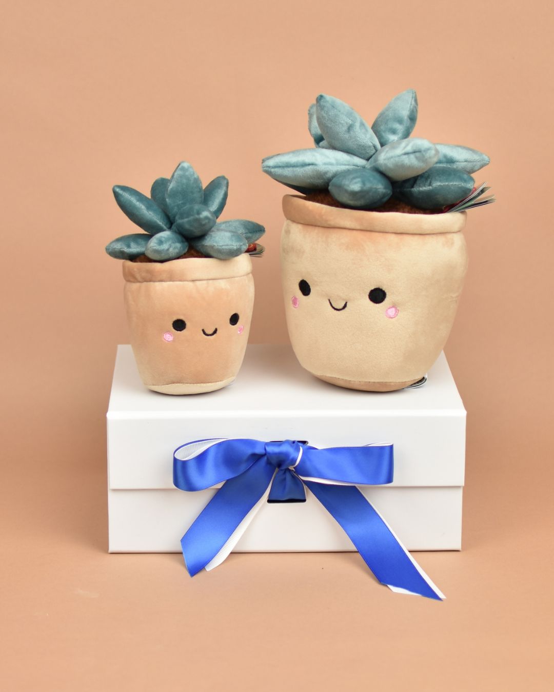 Botanical Garden Succulent Jade Cuddly Toy