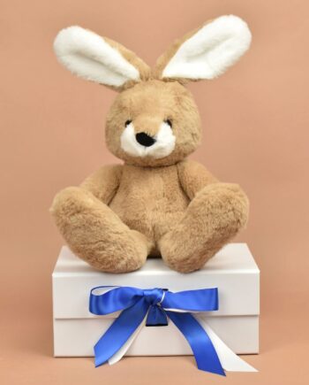 Harry Hare by Charlie Bears