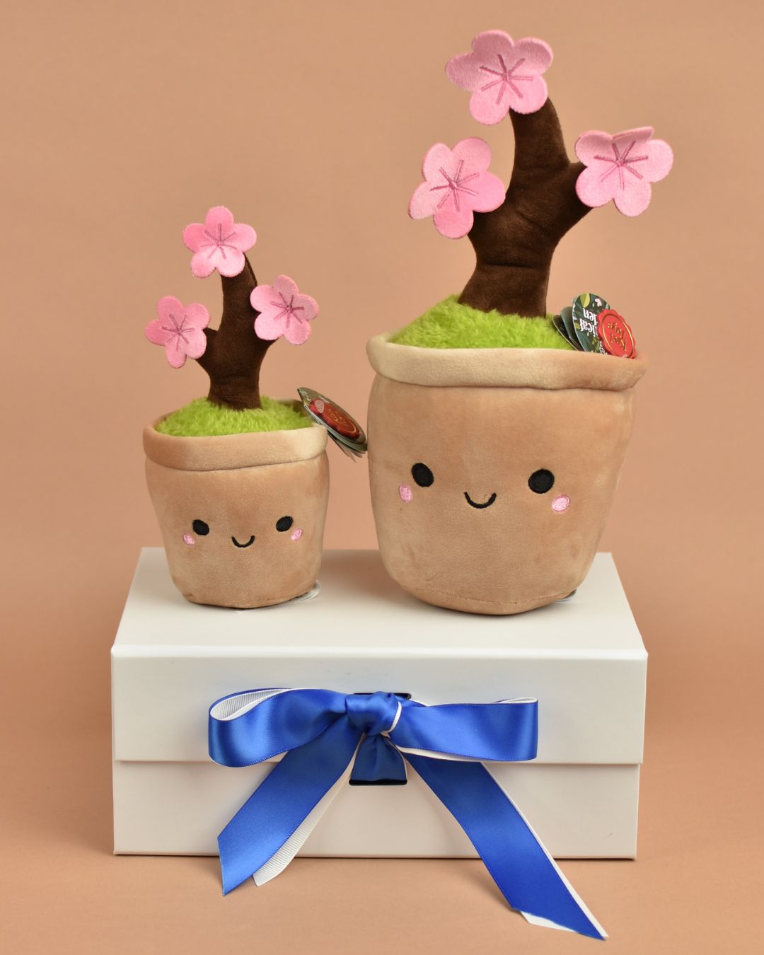 Japanese Cherry Blossom - Send a Cuddly