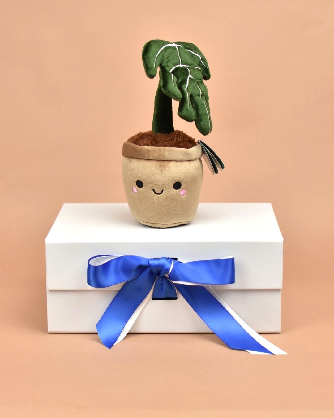 Cuddly Monstera Plant Student Gift