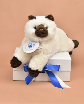 Seal Point Cat cuddly toy from Send a Cuddly