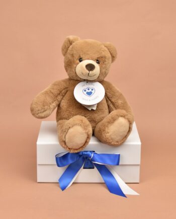 Caramel Teddy soft toy bear from send a Cuddly